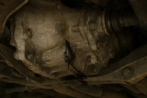 روغن ریزی گیبرکس